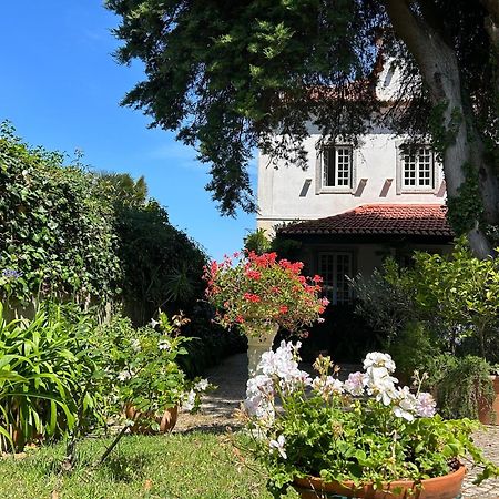Villa Branca Jacinta Sintra Eksteriør bilde