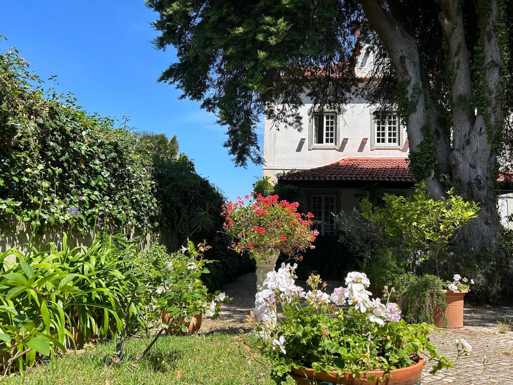 Villa Branca Jacinta Sintra Eksteriør bilde